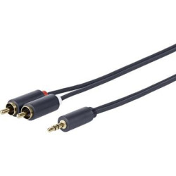 3.5MM - 2 X RCA M-M