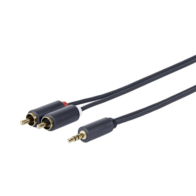 3.5MM - 2 X RCA M-M