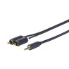 3.5MM - 2 X RCA M-M