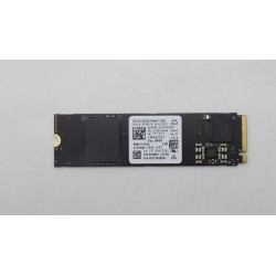 256GB M.2 NVMe SSD with PCIe