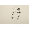 SCREW Screw Pack C 82S9