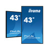 43" 3840x2160 4K UHD IPS 1% Haze L