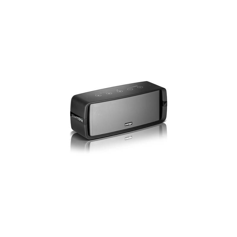 Oval multi-media speaker