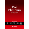 Paper/PT-101 Pro Platinum Photo A4 20sh