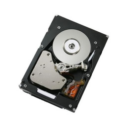 HS 300GB 15K SAS HDD