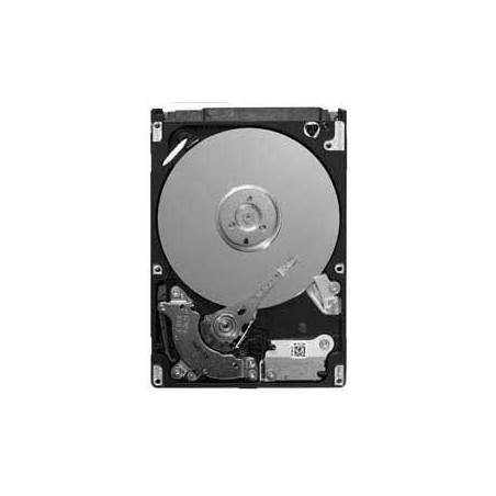 LD25.2 Series 80GB, IDE