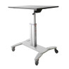 StarTech.com Workstation - Mobile Sit St