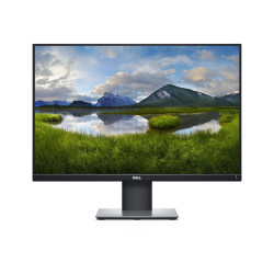 P2421 61.2 cm (24.1") 1920 x