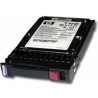 300GB 10K SAS 2.5 DP