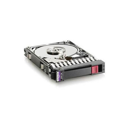 300GB 10K SAS 2.5 DP