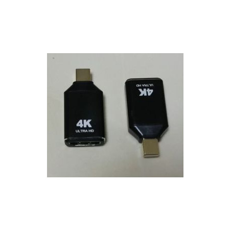 Adapter Mini-Displayport