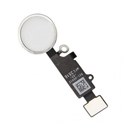 home button assembly White
