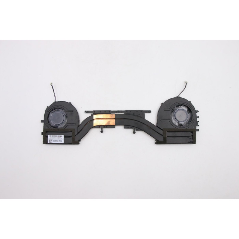 Thermal module for ThinkPad
