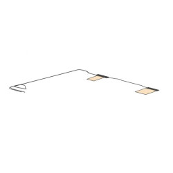 ANTENNA DUAL