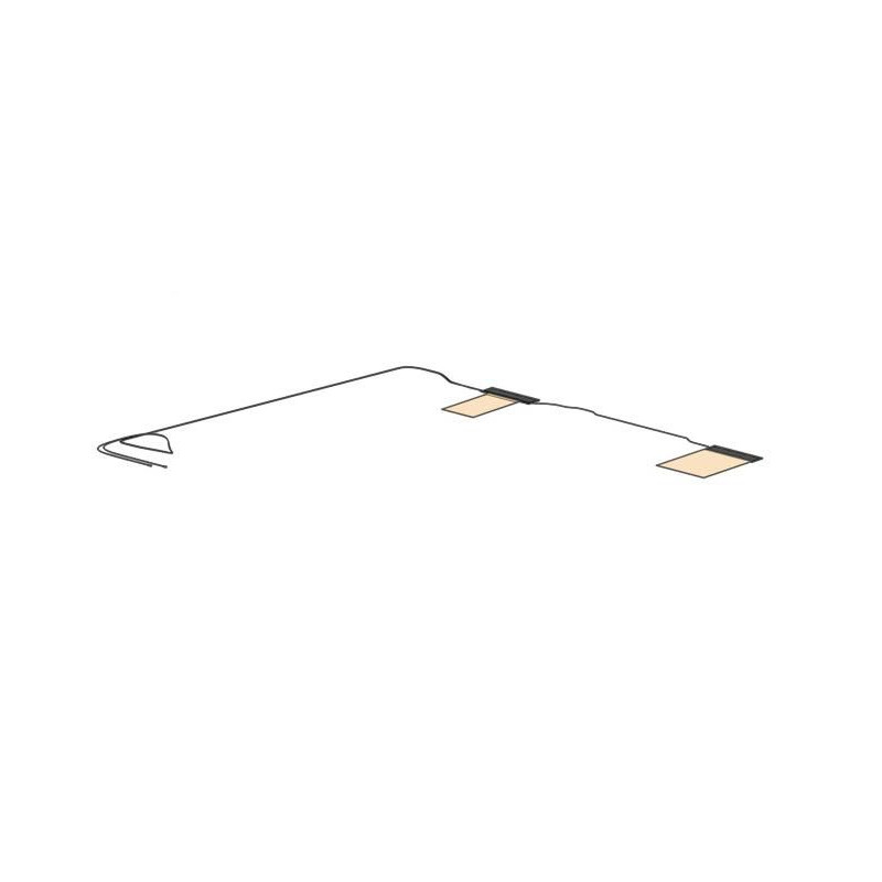 ANTENNA DUAL