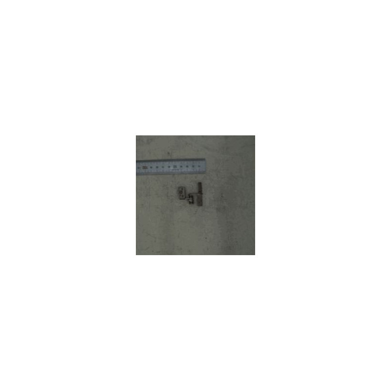 Hinge L