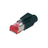 CAT 6 modular RJ45 plug,