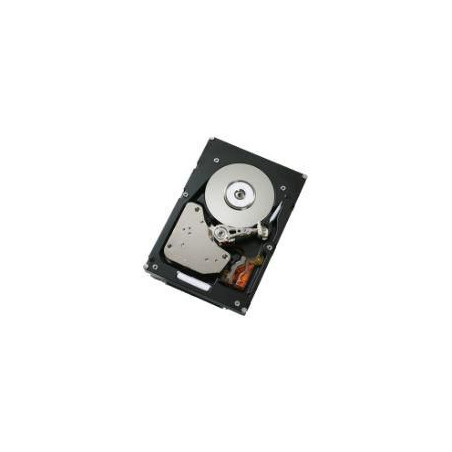 300GB 15K 3.5-inch HDD for DS3