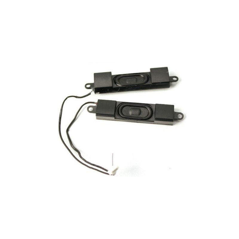 Speaker module, 1010
