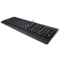 Keyboard USB TRDTNL KB BK POL