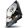 1TB 64MB 7200RPM 24x7