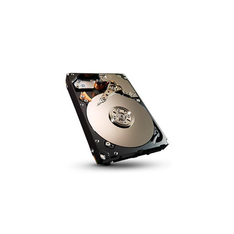 300GB 64MB 10K SAS 6Gb/s