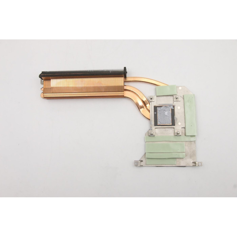A Ren DIS Thermal Module