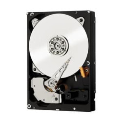 WD RE4 250GB 7200RPM RAID