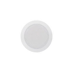 5" 2 way in-ceiling