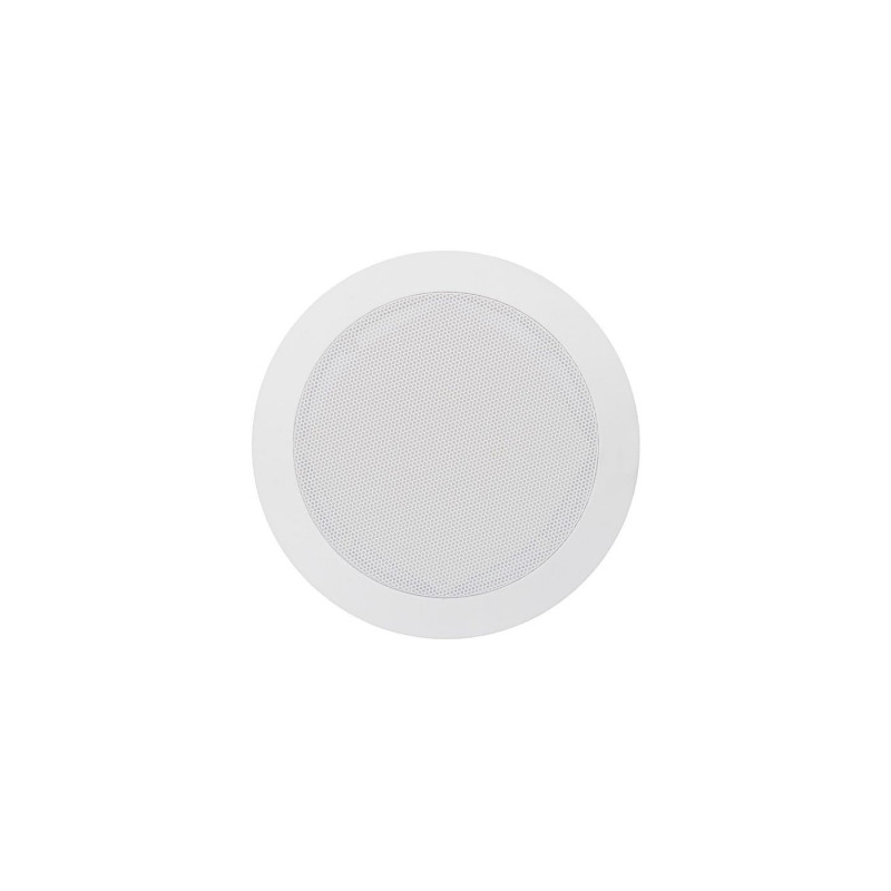 5" 2 way in-ceiling