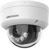 2 MP Smart Hybrid Light Fixed