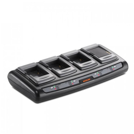 Quad Charger for R200