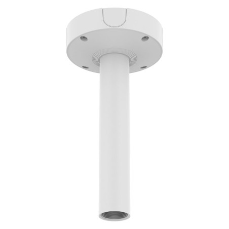 Ceiling Mount, Aluminum,