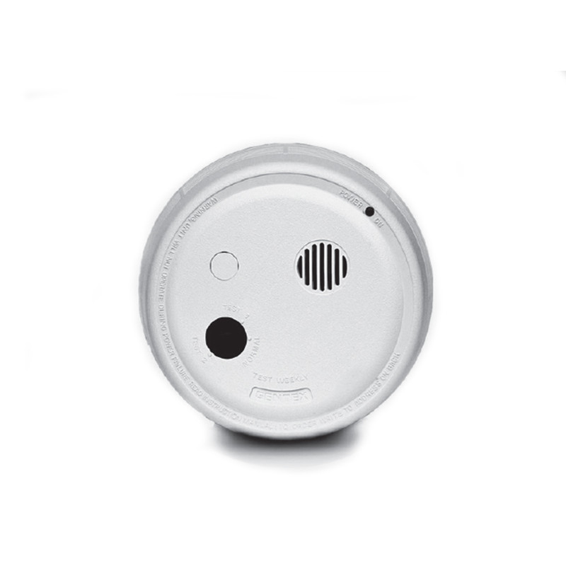 Vertiv Geist Smoke Sensor