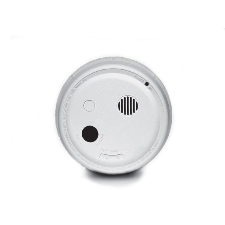 Vertiv Geist Smoke Sensor