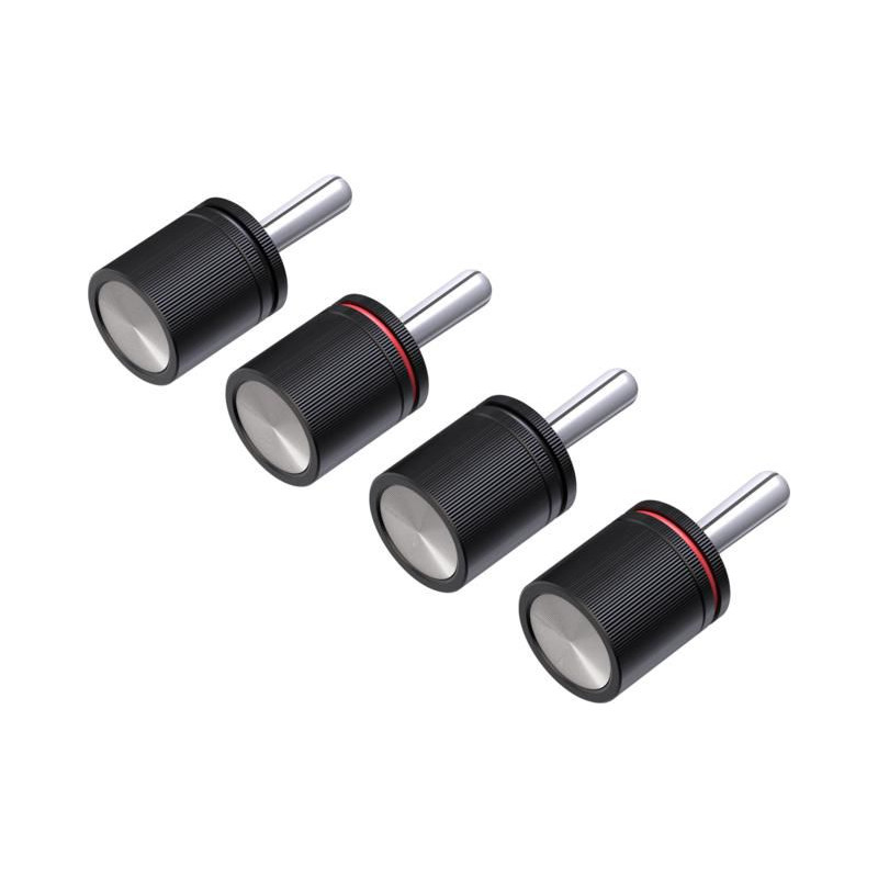 Separated Banana Plug Pair