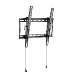 Basic Medium Wall Mount with