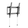 Basic Medium Wall Mount with
