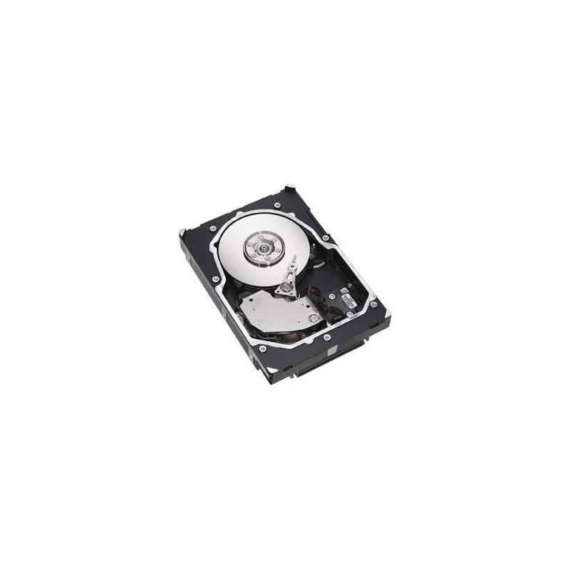 HD SAS 6G 300GB 10K