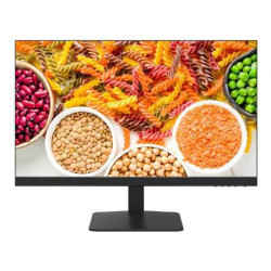 23.8 inch FHD VA 100Hz speaker