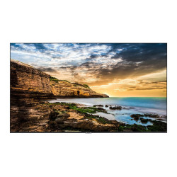 Samsung 65" UHD/4K 16:9 QE65T VESA
