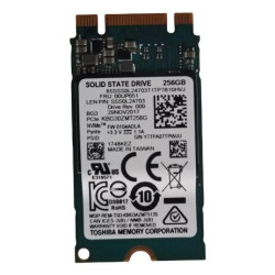 256GB M.2 2242 PCIe 3.0 SSD