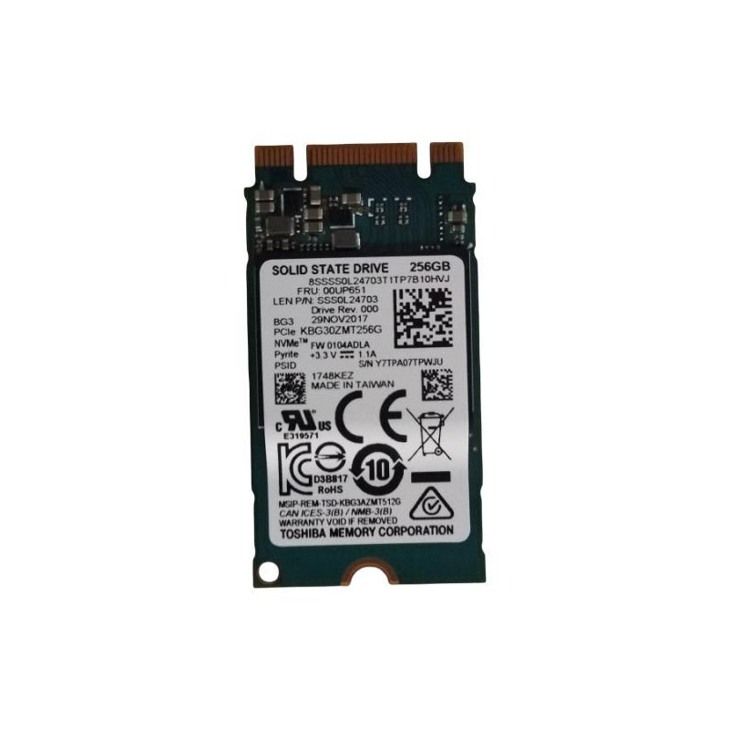 256GB M.2 2242 PCIe 3.0 SSD