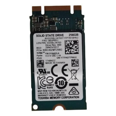 256GB M.2 2242 PCIe 3.0 SSD