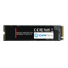 256GB M.2 PCIe NVMe SSD