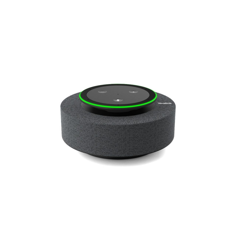 Video Conferencing - MSpeech
