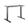 Electric Height Adjustable De