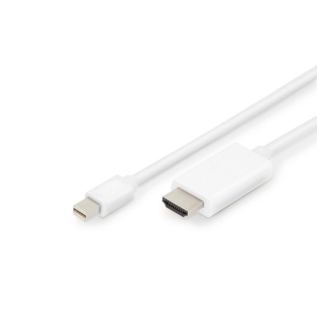 DisplayPort adapter cable,