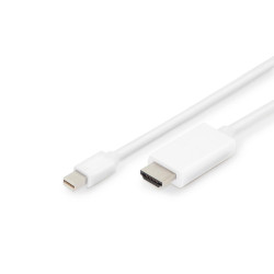 DisplayPort adapter cable,