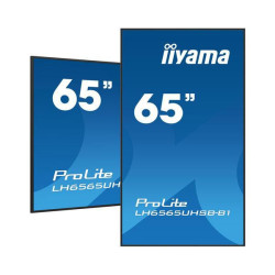 65" 3840x2160, UHD IPS panel,